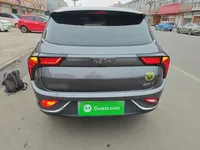 NETA V 2022 (24600 км)
