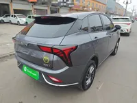 NETA V 2022 (24600 км)
