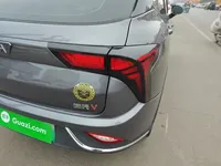 NETA V 2022 (24600 км)