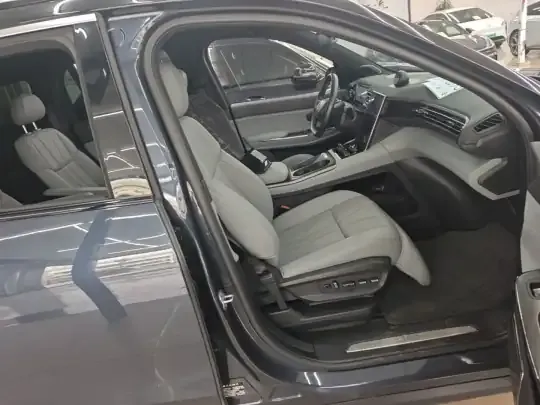 Nio ES8 2022 (59300 км)