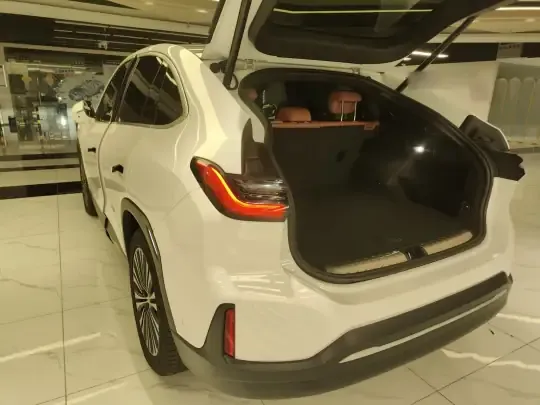 Nio EC6 2022 (98699 км)