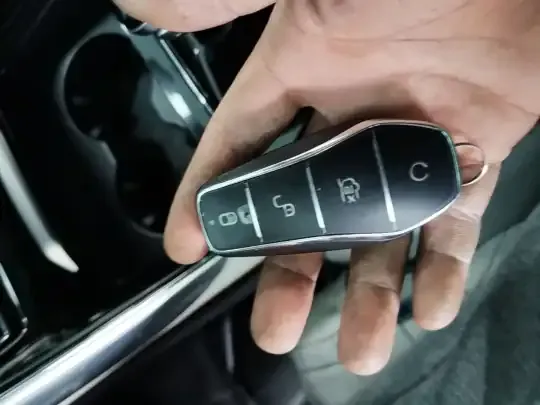 BYD Tang New Energy 2022 (100300 км)