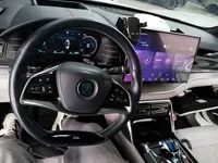 BYD Tang New Energy 2022 (100300 км)