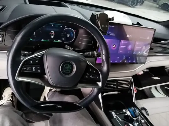BYD Tang New Energy 2022 (100300 км)