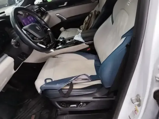 BYD Tang New Energy 2022 (100300 км)