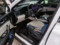 BYD Tang New Energy 2022 (100300 км)
