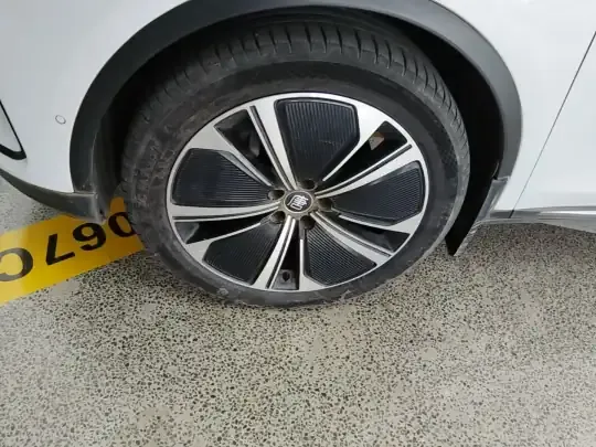 BYD Tang New Energy 2022 (100300 км)