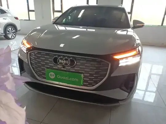 Audi Q4 e-tron 2022 (27799 км)