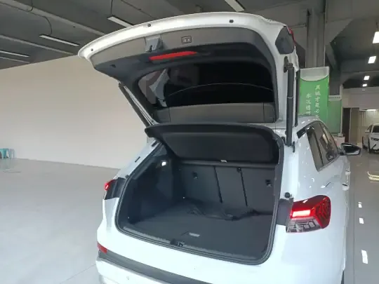 Audi Q4 e-tron 2022 (27799 км)