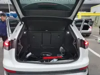 Audi Q4 e-tron 2022 (52600 км)