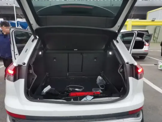 Audi Q4 e-tron 2022 (52600 км)