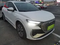 Audi Q4 e-tron 2022 (52600 км)