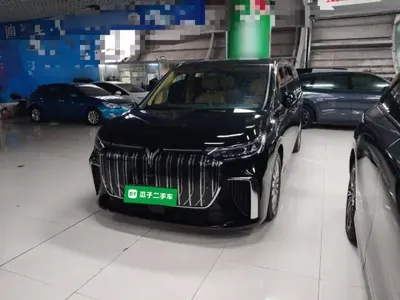VOYAH Dream 2022 (76900 км)