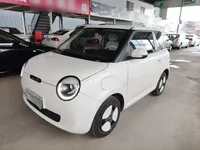 Qiyuan Lumin 2022 (25300 км)
