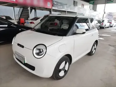 Qiyuan Lumin 2022 (25300 км)