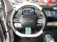 Qiyuan Lumin 2022 (25300 км)