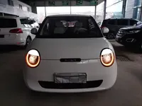 Qiyuan Lumin 2022 (25300 км)