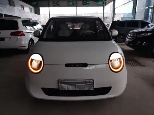 Qiyuan Lumin 2022 (25300 км)