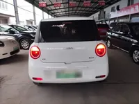 Qiyuan Lumin 2022 (25300 км)