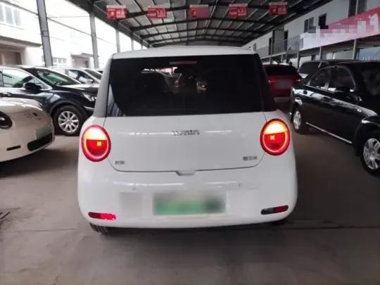 Qiyuan Lumin 2022 (25300 км)