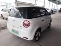 Qiyuan Lumin 2022 (25300 км)