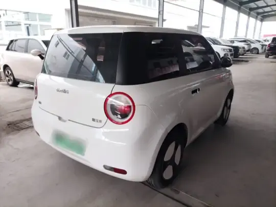 Qiyuan Lumin 2022 (25300 км)