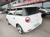 Qiyuan Lumin 2022 (25300 км)