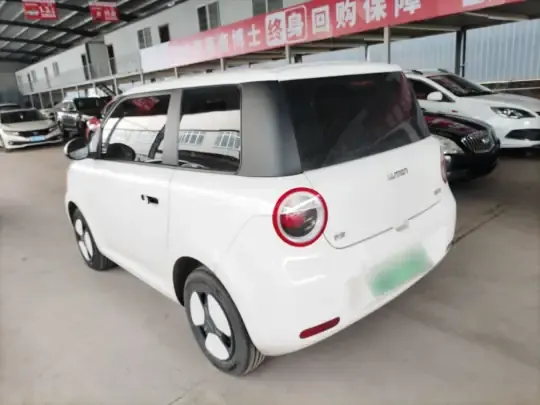 Qiyuan Lumin 2022 (25300 км)