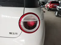 Qiyuan Lumin 2022 (25300 км)