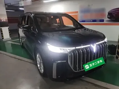 VOYAH Dream 2022 (38400 км)