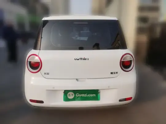 Qiyuan Lumin 2022 (35100 км)
