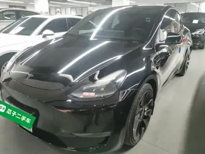 Tesla Model Y 2022 (95100 км)