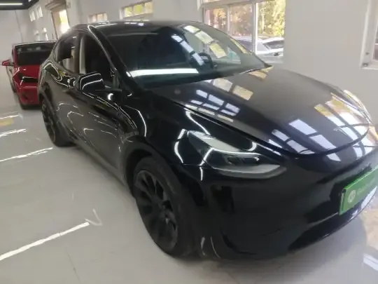 Tesla Model Y 2022 (113100 км)