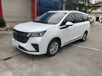 Wuling Jiachen 2022 (9600 км)