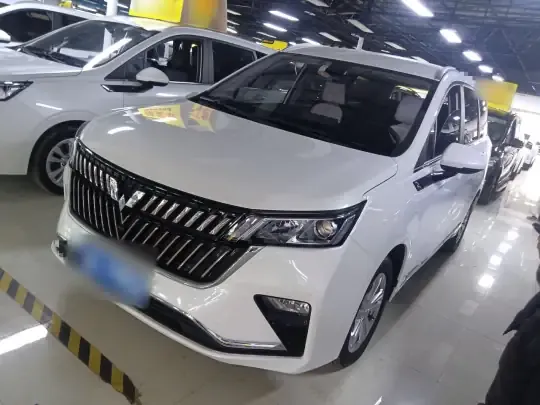 Wuling Jiachen 2022 (26200 км)