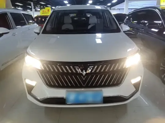 Wuling Jiachen 2022 (26200 км)