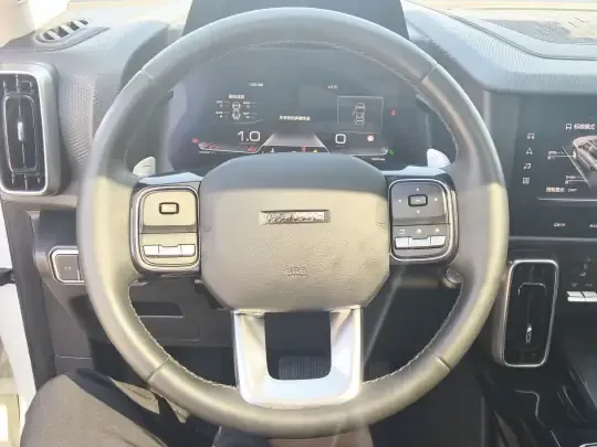 Haval DARGO 2022 (120300 км)