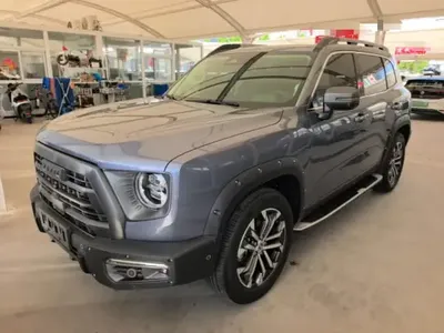 Haval DARGO 2022 (29300 км)