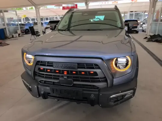 Haval DARGO 2022 (29300 км)