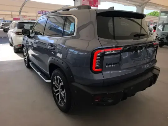 Haval DARGO 2022 (29300 км)