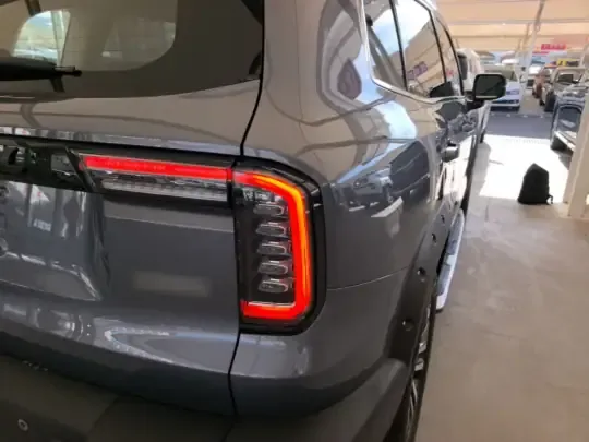 Haval DARGO 2022 (29300 км)