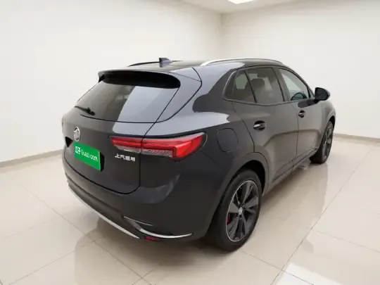 Buick Envision 2022 (39600 км)