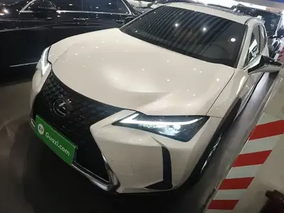 Lexus UX 2022 (31700 км)