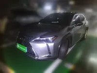 Lexus UX 2022 (24500 км)