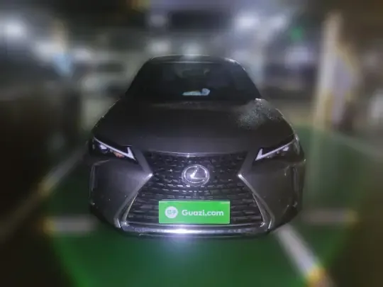 Lexus UX 2022 (24500 км)