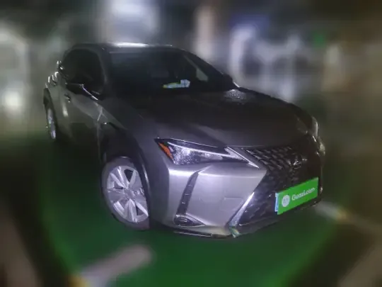 Lexus UX 2022 (24500 км)