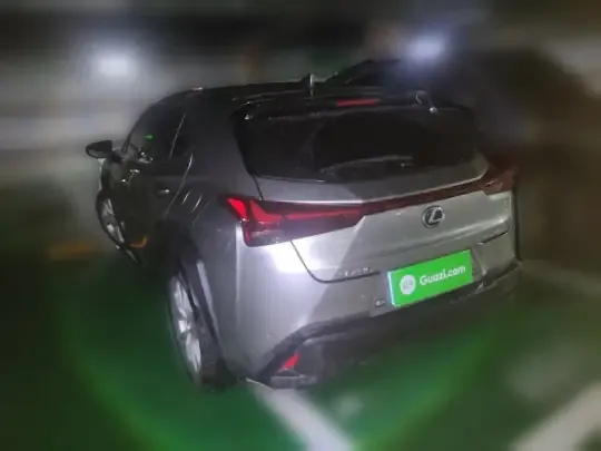 Lexus UX 2022 (24500 км)