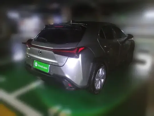 Lexus UX 2022 (24500 км)