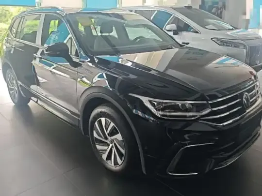 Volkswagen Tiguan L New Energy 2023 (100 км)