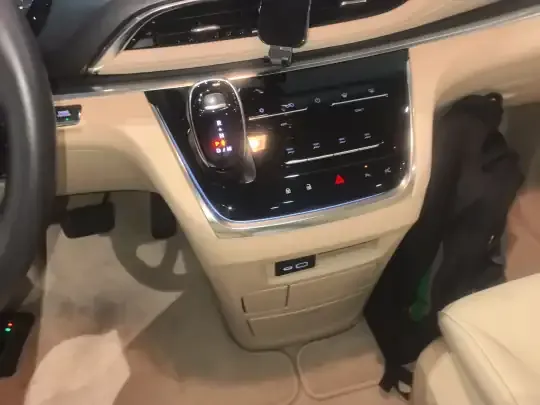 Buick GL8 2023 (45599 км)